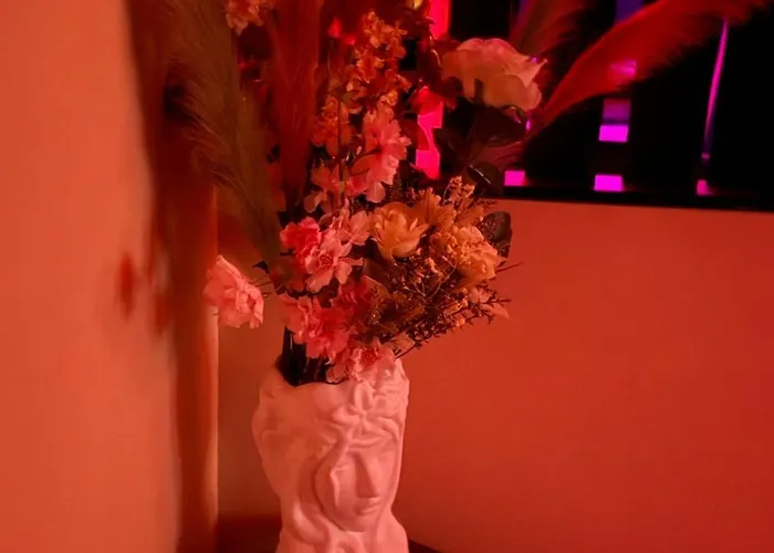 La D'aphrodite Nyaraló *